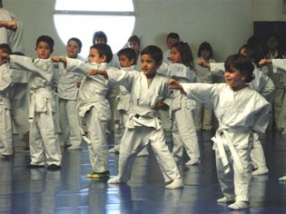 20070604233955-jiujitsuweb.jpg