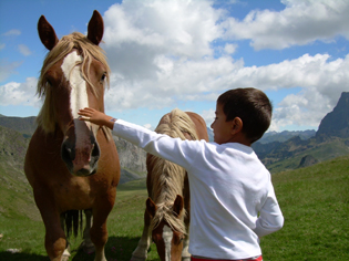 20081120214425-caballosalvajes-web.jpg